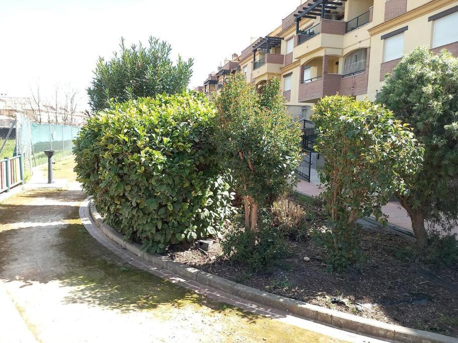 El Nido Del Nomada Apartment Atarfe Exterior photo